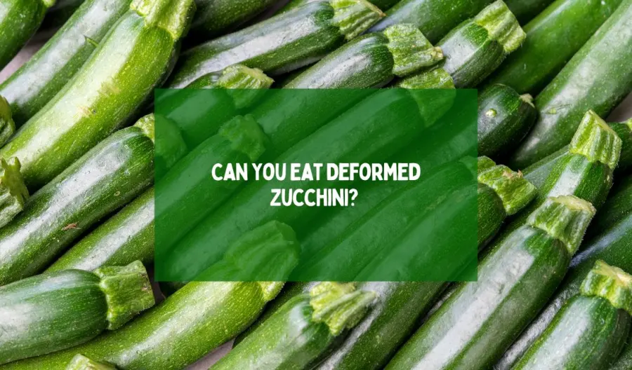 Can You Eat Deformed Zucchini? 
