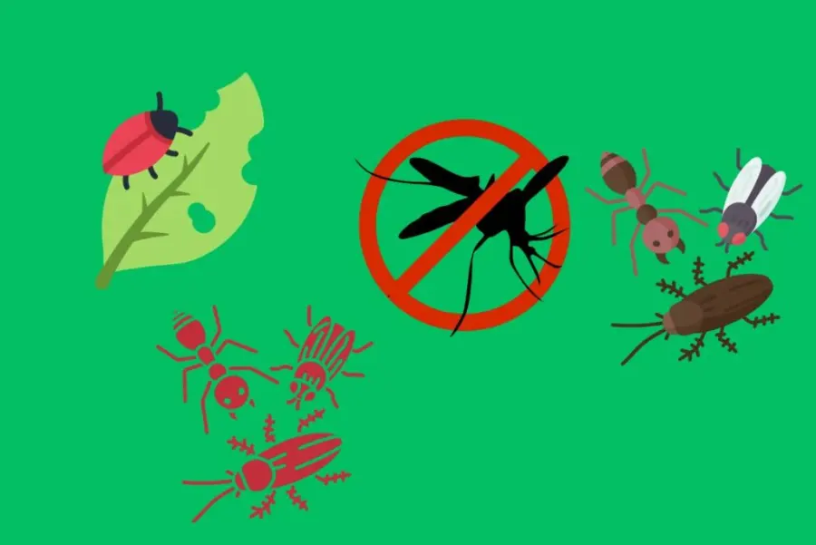 Control Pests