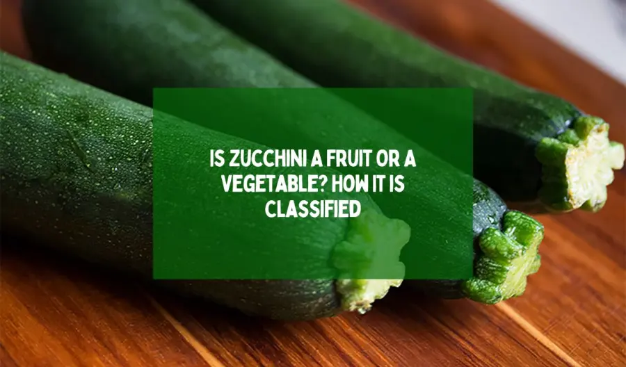 Is Zucchini A Fruit Or A Vegetable? How It is Classified