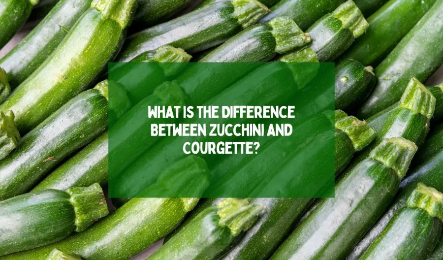 What is the Difference Between Zucchini and Courgette?