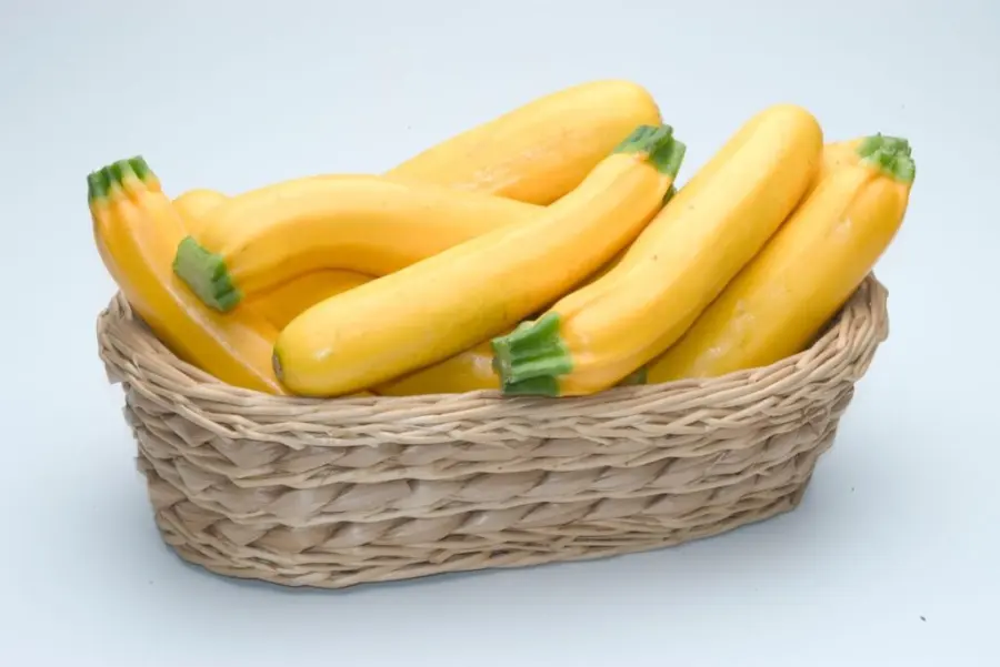 Yellow Zucchini