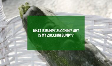 bumpy zucchini