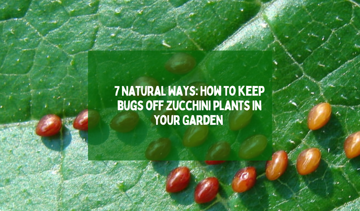 7 Natural Ways: How to keep bugs off zucchini plants in Your Garden ...