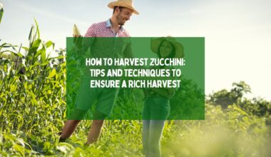 Harvest Zucchini