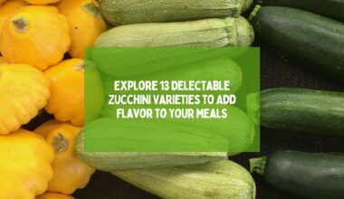 Zucchini Varieties