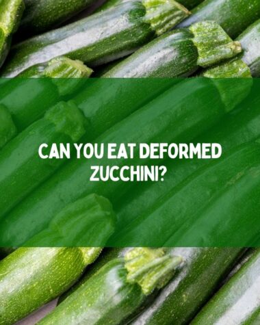 Can You Eat Deformed Zucchini