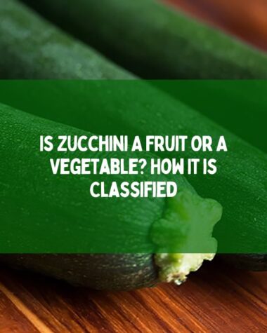 Is Zucchini A Fruit Or A Vegetable How It is Classified