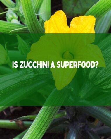 Is Zucchini a Superfood