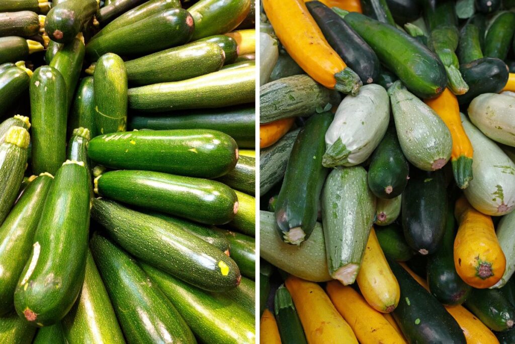 Zucchini and Courgette A Linguistic Divide