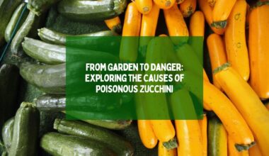 From Garden to Danger: Exploring the Causes of Poisonous Zucchini